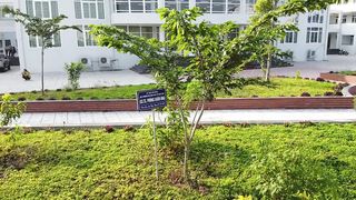 Education_School_Library_University