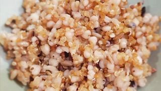 Nasi Sorgum
