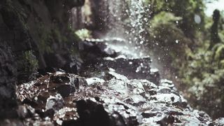 "A Symphony of Seasons: Nature's Ever-Changing Palette"