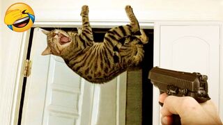 New Funny Videos 2023 | Cutest Cats and Dogs