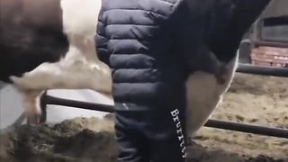 Это просто супер