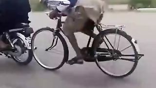 Funny video
