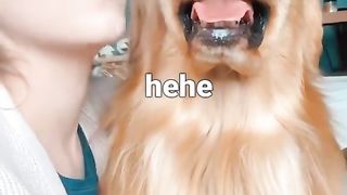 We don’t deserve dogs