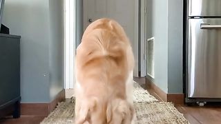 Great Wall of Butt Wipe