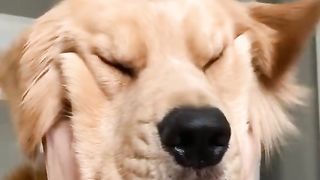 Doin me a hekkin squish