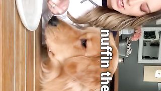 Invisible Food Challenge
