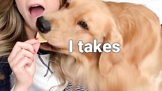 My food. Not yours