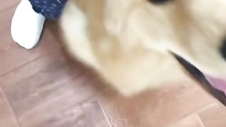My Favorite Trick