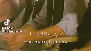 مرشد 2