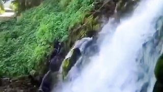 Beautiful view of nature 59