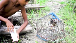 "Flourishing Frontiers: Nature's Resilience Unveiled"