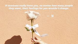 Beautiful Rose
