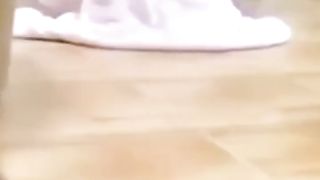 Cute Cats and Dogs Funny????