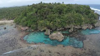 "Nature's Palette: A Cinematic Celebration of Earth"