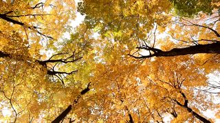"Azure Skies, Verdant Valleys: Nature's Chromatic Palette"