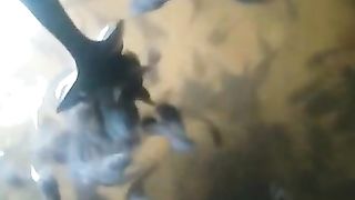 CACING SUTERA langka PASTA solusinya❗Daripada larva lele kelaparan mending buat PASTA