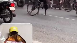 funny video 388