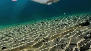 What it looks like under alpine lakes in Alaska