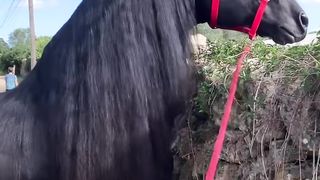 Очень красиво ????