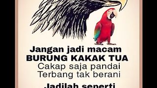 BURUNG KAKAK TUA