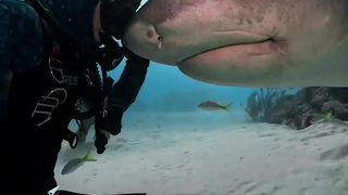 Fear is like oxygen. The right amount keeps you alive_ but too much is poison