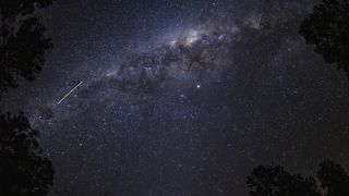 "Chronicles of Change: Nature's Timeless Ballet"
