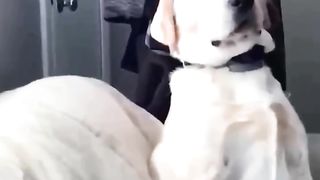The things I wake up to