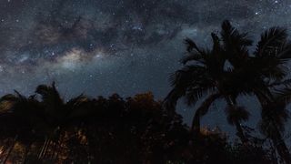 "Time Unveiled: A Journey Through Slow Motion"