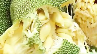 Fruit ???????????? 7
