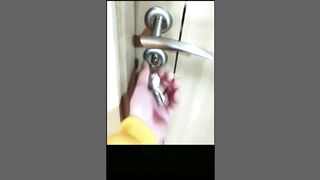 Cute Dog (TikTok)
