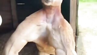 Kangaroo