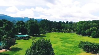 Botnical Gardens
