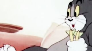 The million dollar cat part 1 ????????????
