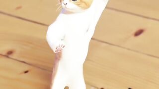 funney danceing cats it funney video