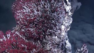 What Lives in the Deepest Part of the Ocean?