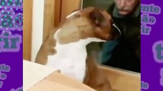 tente não rir kkk