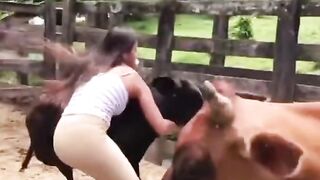 Great skills