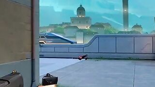 I promise you this is the best clip ever.