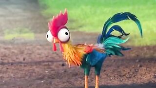 Moana e Seu galo doido