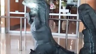 Meeting of Dinosaurs