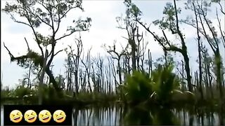vídeos engraçados