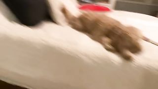 Cooper