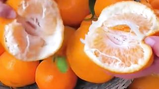 Eat fruit 2