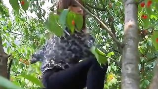 Fruit ???? 2