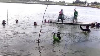 Fish Harvesting