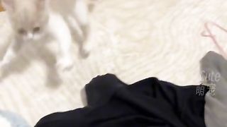 FunnyVideo #4