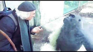 Funny Monkey Viral Video 83