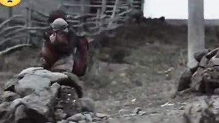 Abu ubaida 3