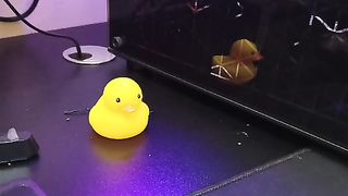 Duckj