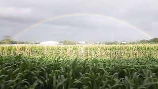 Rainbow is unity
